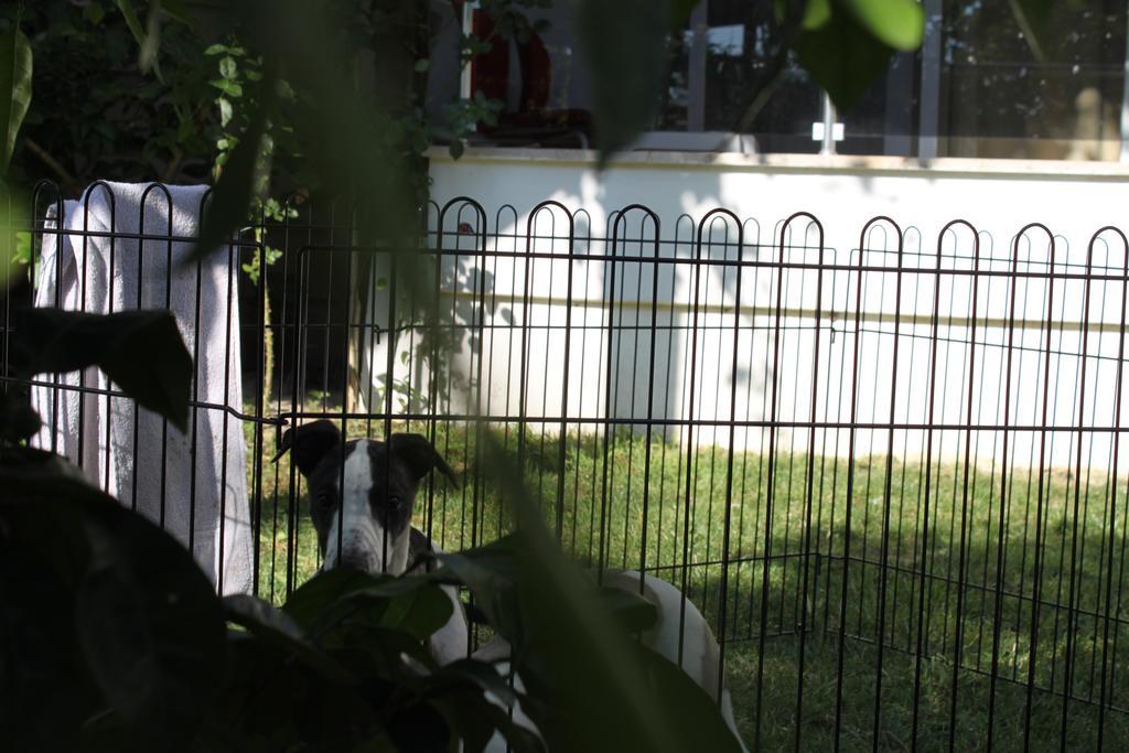Aloria Garden Hotel Erdek Zewnętrze zdjęcie